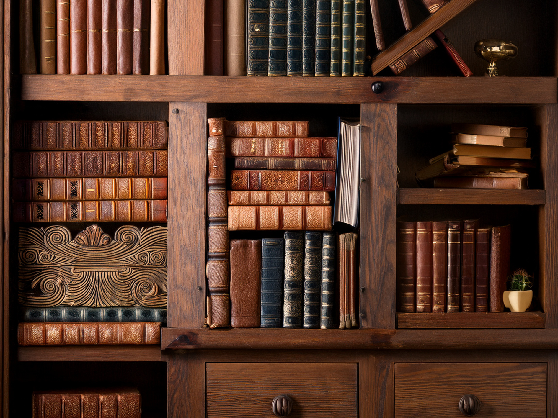 Books on shelves.png