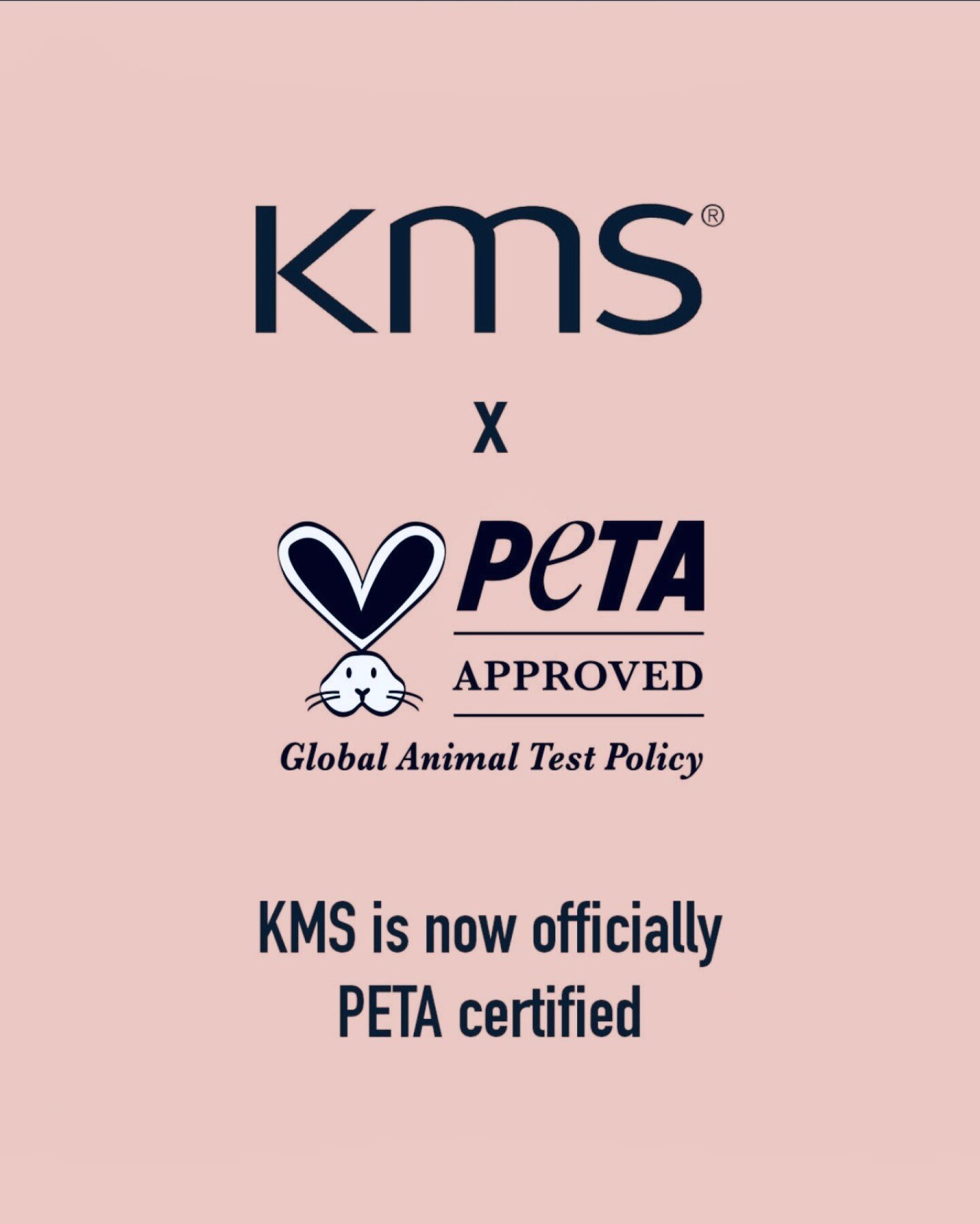 We are excited to announce that KMS is now officially PETA certified!

We now stock KMS in Bristol as well as Clevedon!

#kmshair #peta #petacertified #crueltyfree #crueltyfreehaircare #crueltyfreebeauty #bristolhairdresser #bristolhairsalon #bristol