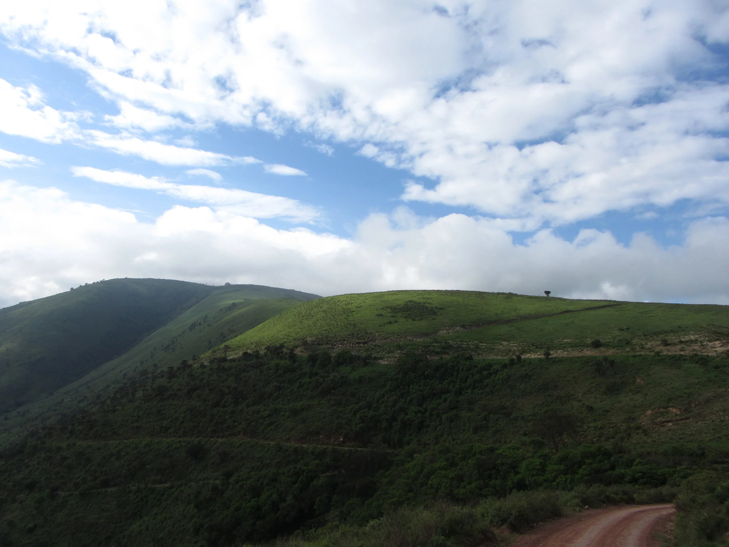 Ngorogoro Hill.jpg