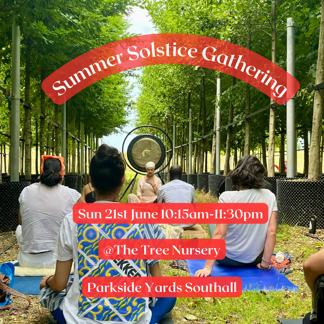 Summer Solstice Gathering