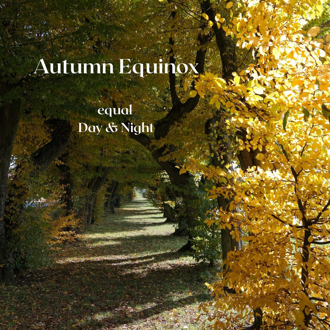 Autumn Equinox Footprints Gathering (🎾 🎾 🧱 🧦)