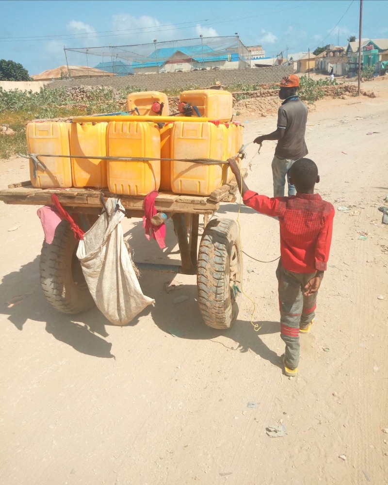 Donkey cart selling water in Kismayo, Somalia. Source: Navanti