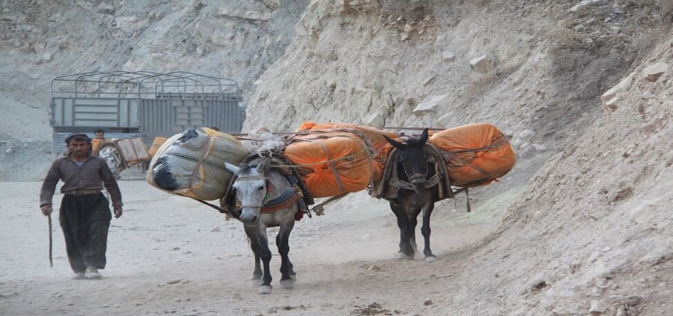Kolber with donkeys. Source: Kurdistan Human Rights Network