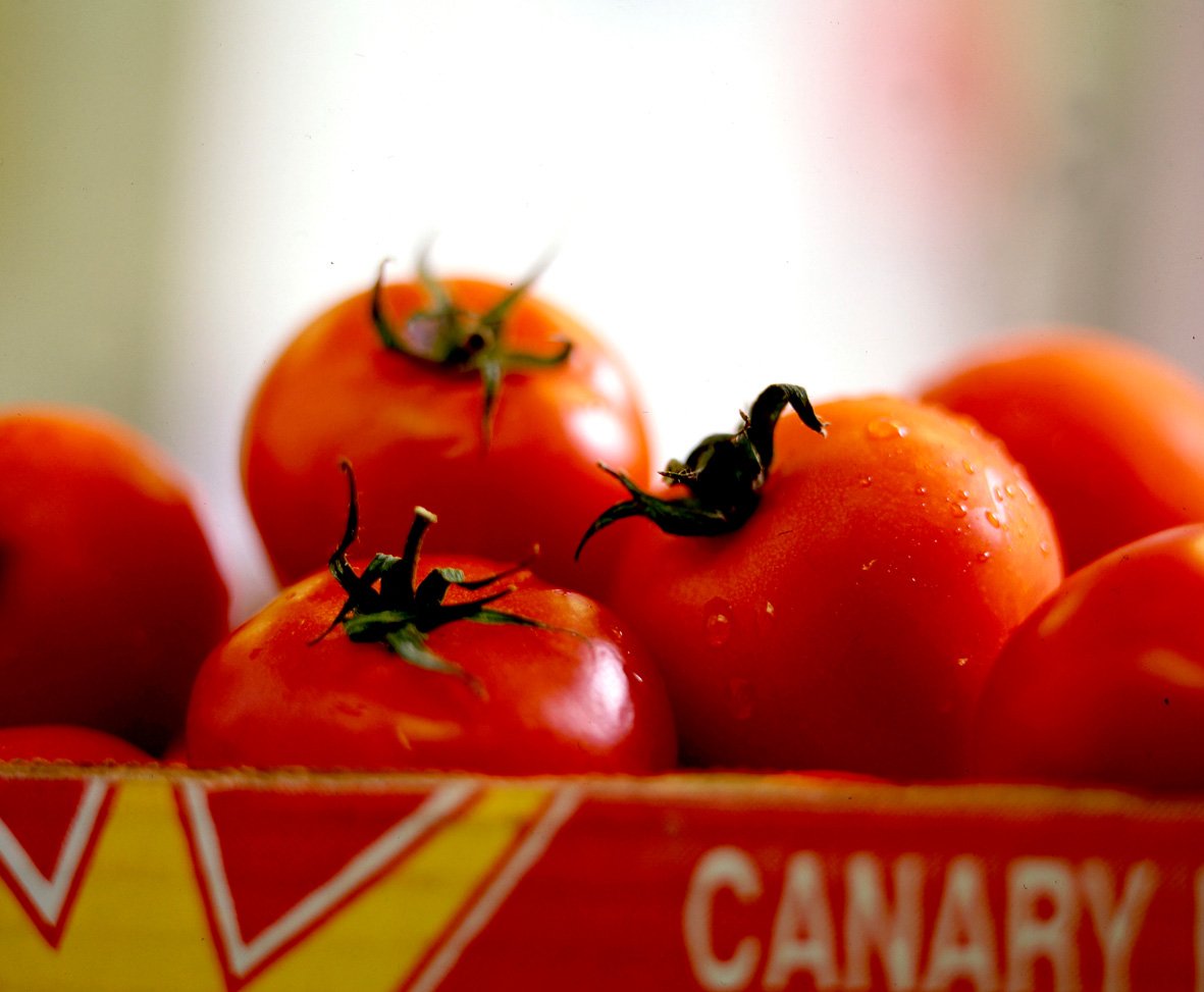MoatH-tomatoesa-web.jpg