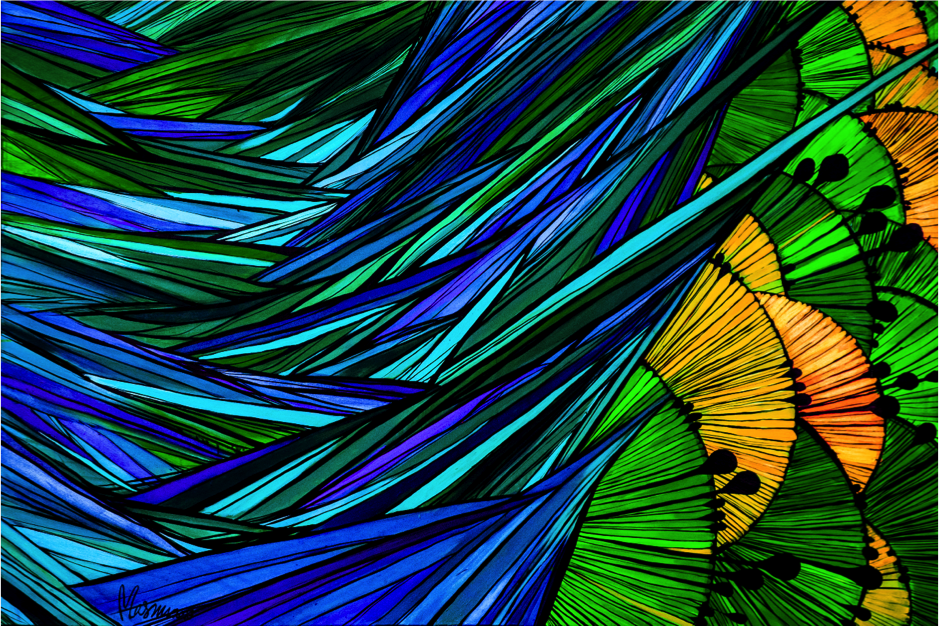 Marini_A Peacock's Tale.png