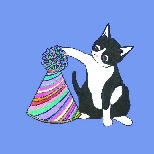 cat.jpg