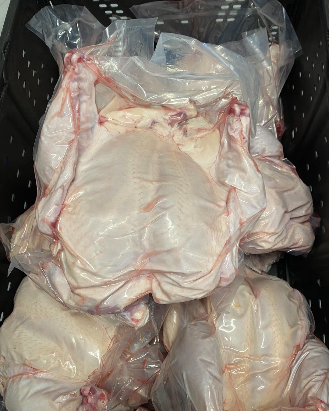 We&rsquo;ll have fresh chicken this week at the MUCU market in Sydney Saturday Sept 14 from 10am to 2pm!

Whole chickens are around 4.5 to 5.5 pounds and we will have cut as well (breasts, legs, wings) and also PORK is back in stock!