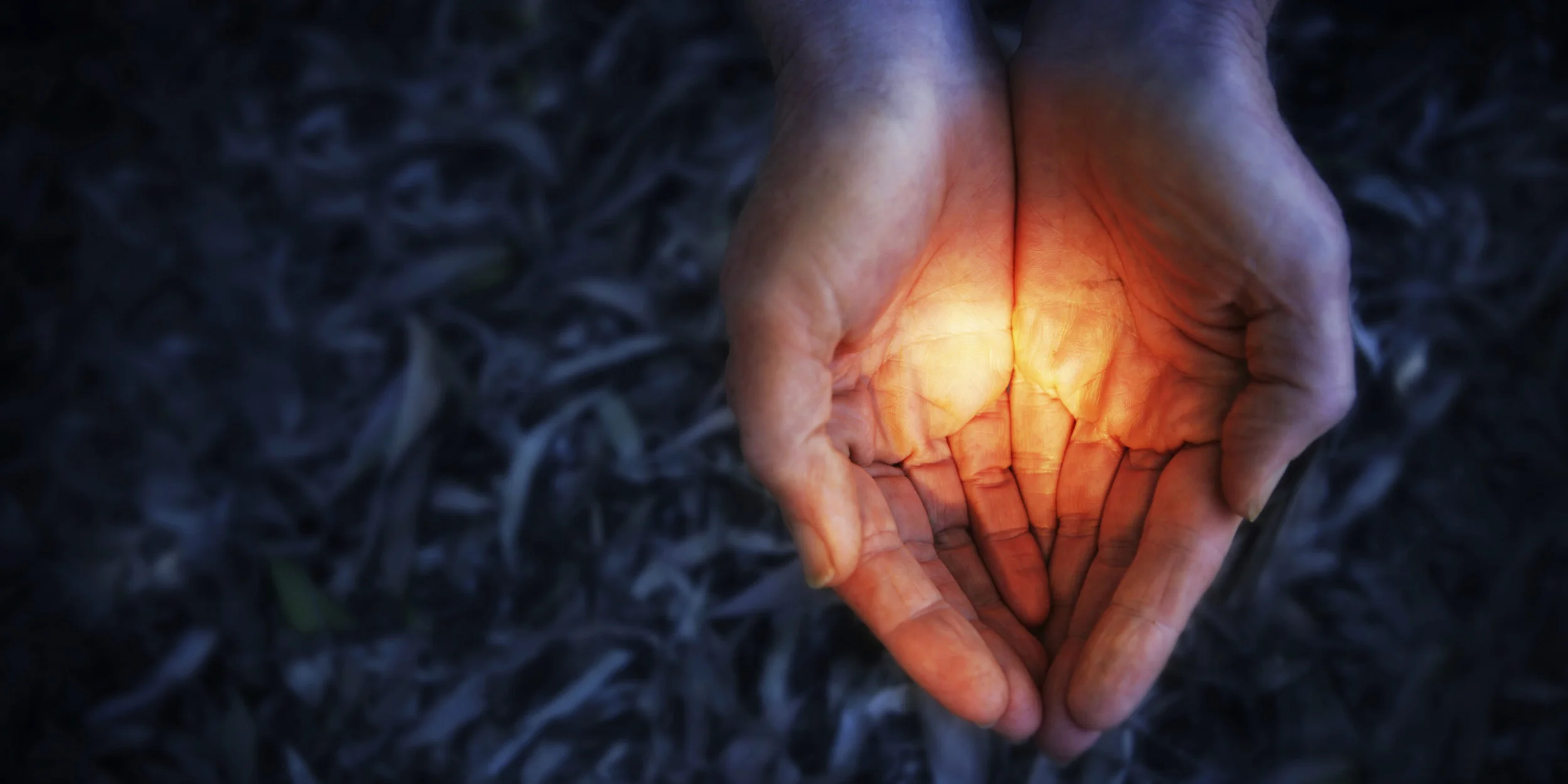 Hands2Nurture_banner.jpg