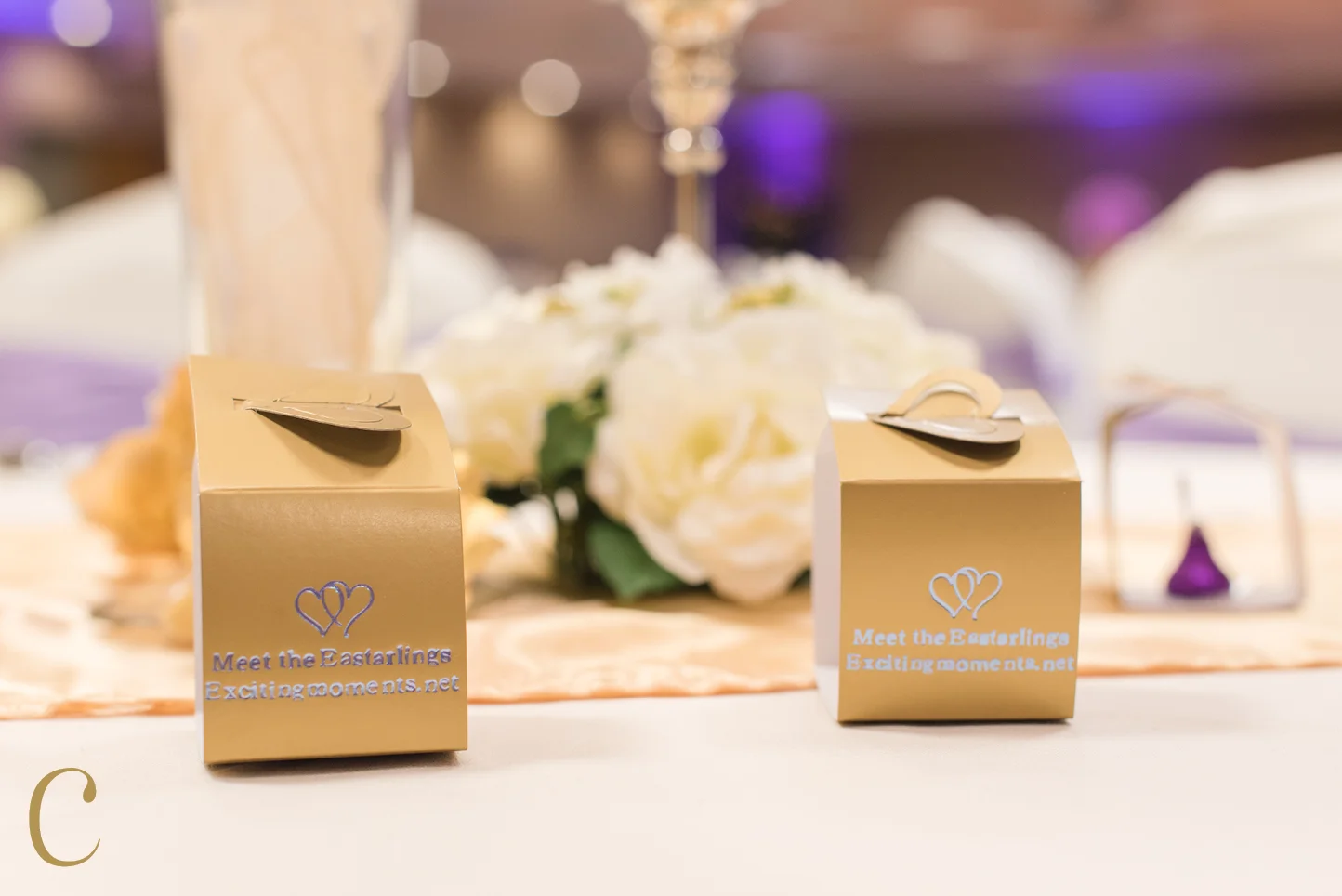 ©christineaustincreative-easterling-wedding12.jpg