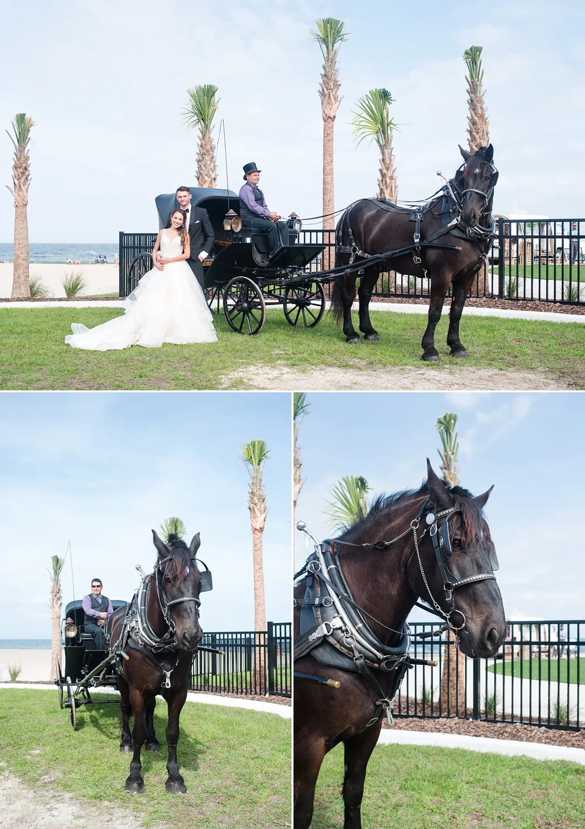 St Augustine Beach-Styled Wedding Fashion-Horse and Carriage-Wedding Dress Inspiration.jpg