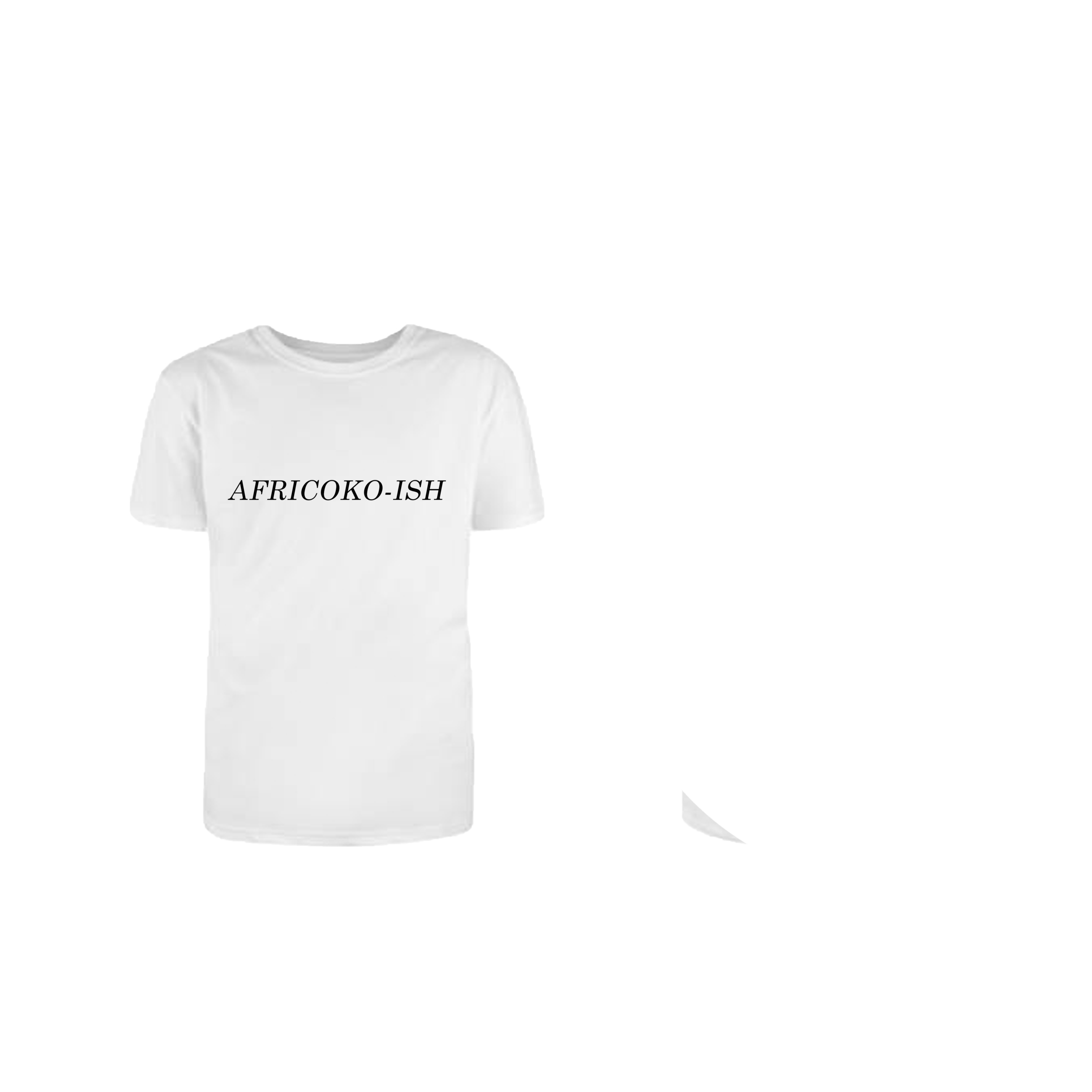 AFR2.png