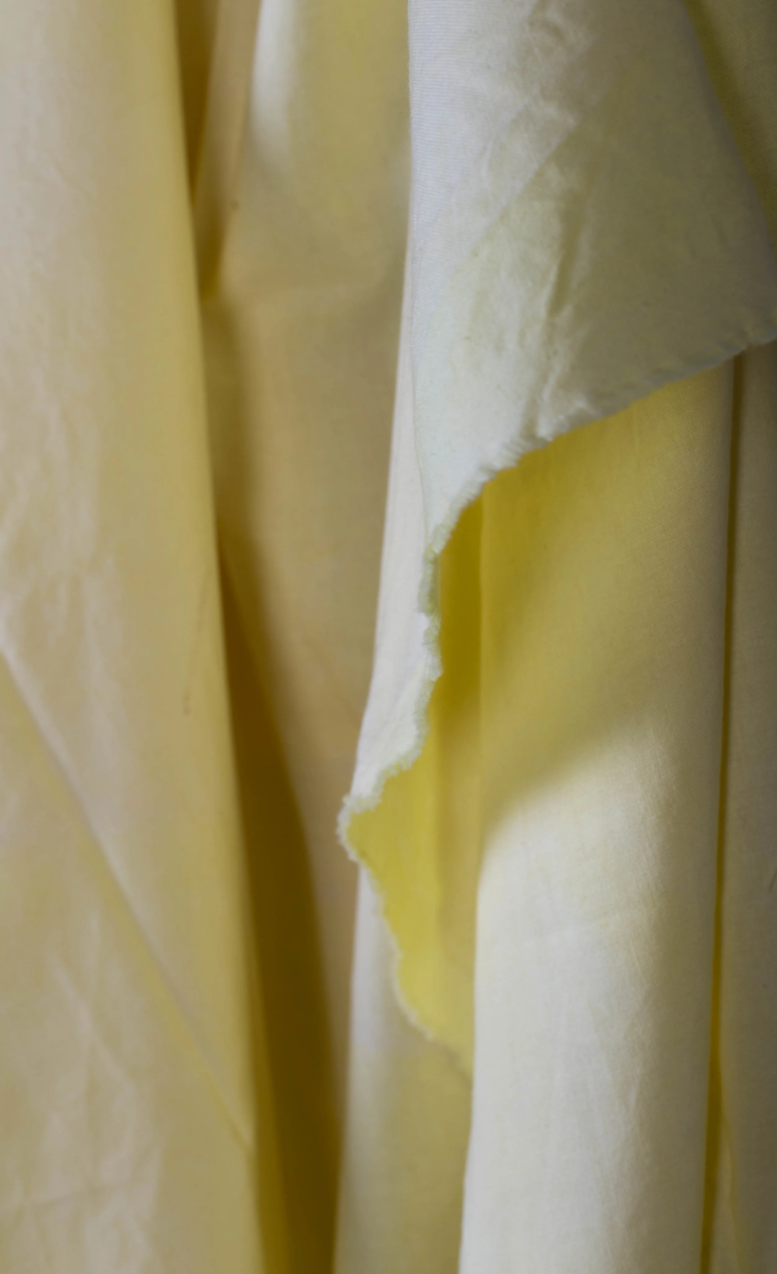 Fabric Dye 2.jpg