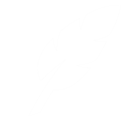 iconmonstr-pen-19-240.png