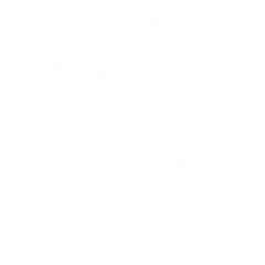 iconmonstr-networking-4-240.png