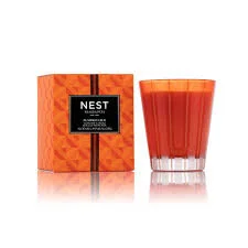 nestpumkinchai.jpeg