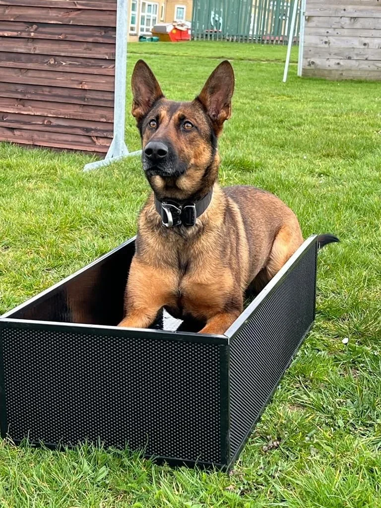 TIMBERBUILD : Position Box