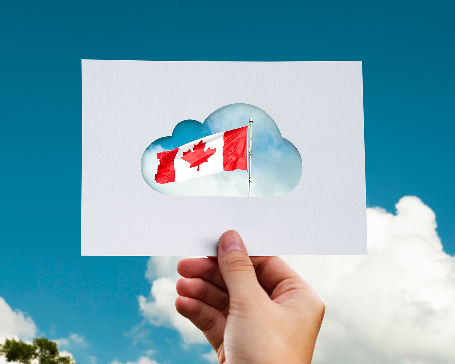 canada SaaS 2.png