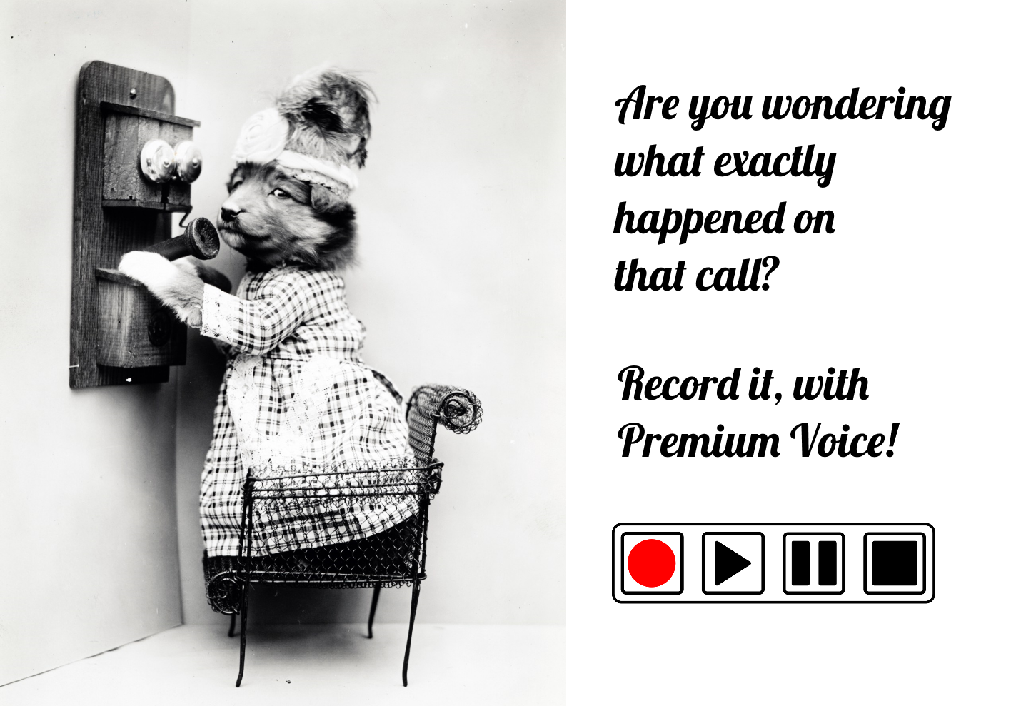 Record it with Premium Voice.png