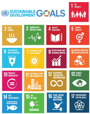 SDG-logo-icons.png