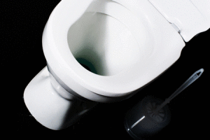A Homeowner's Guide to Troubleshooting Toilet Flapper Problems