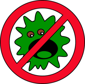 Keep Your Home Free of Bacteria and Mold