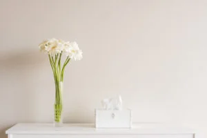 Reduce the Effects of Spring Allergies in Your Home