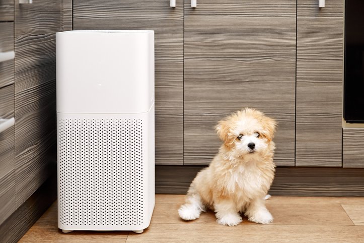 What Kind of AC Filter Material Is Best for Your Unit? — Air Assurance