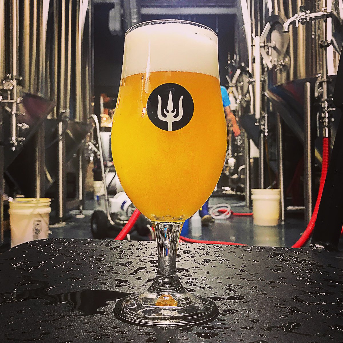 image sourced from Wayfinder Beer