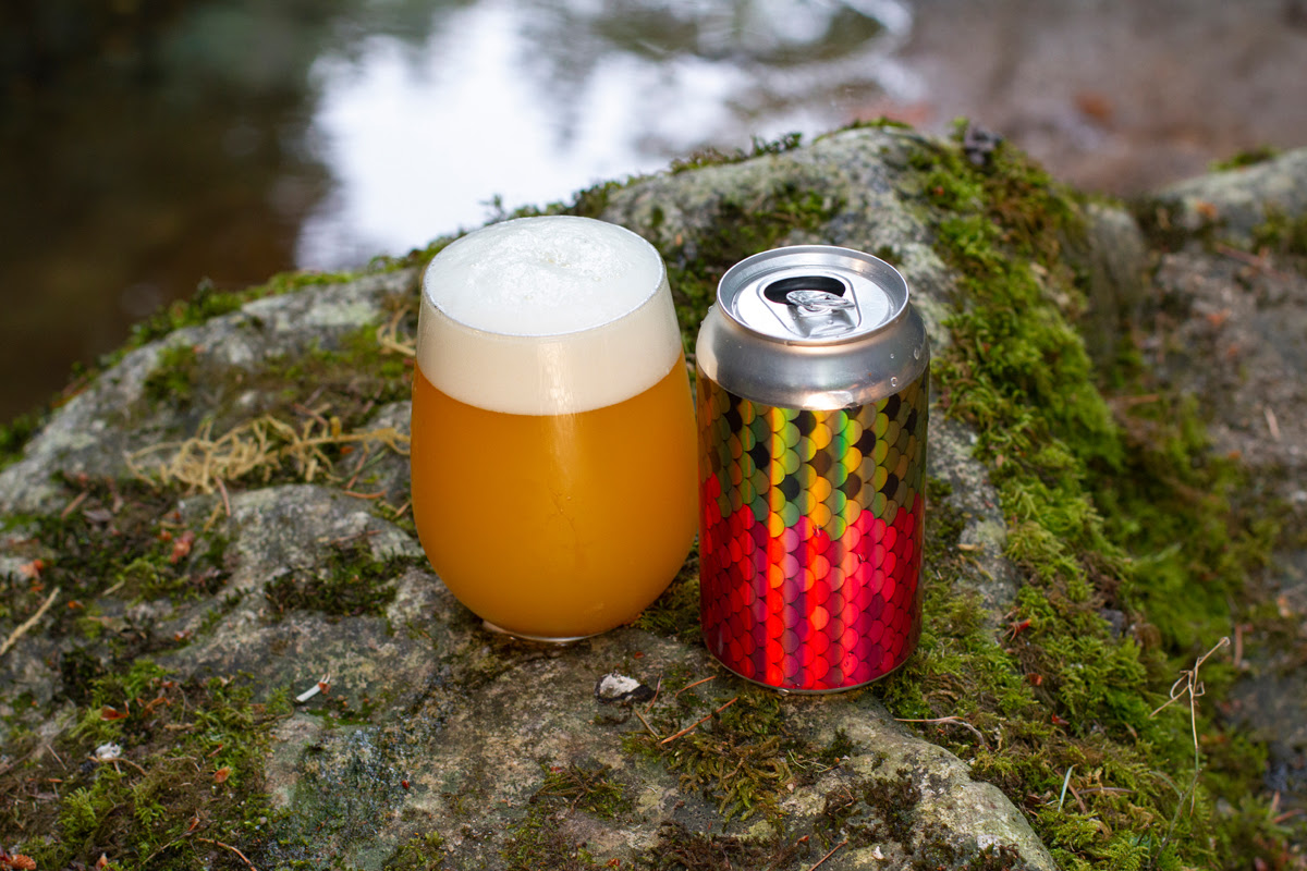 image courtesy Aslan Brewing Company