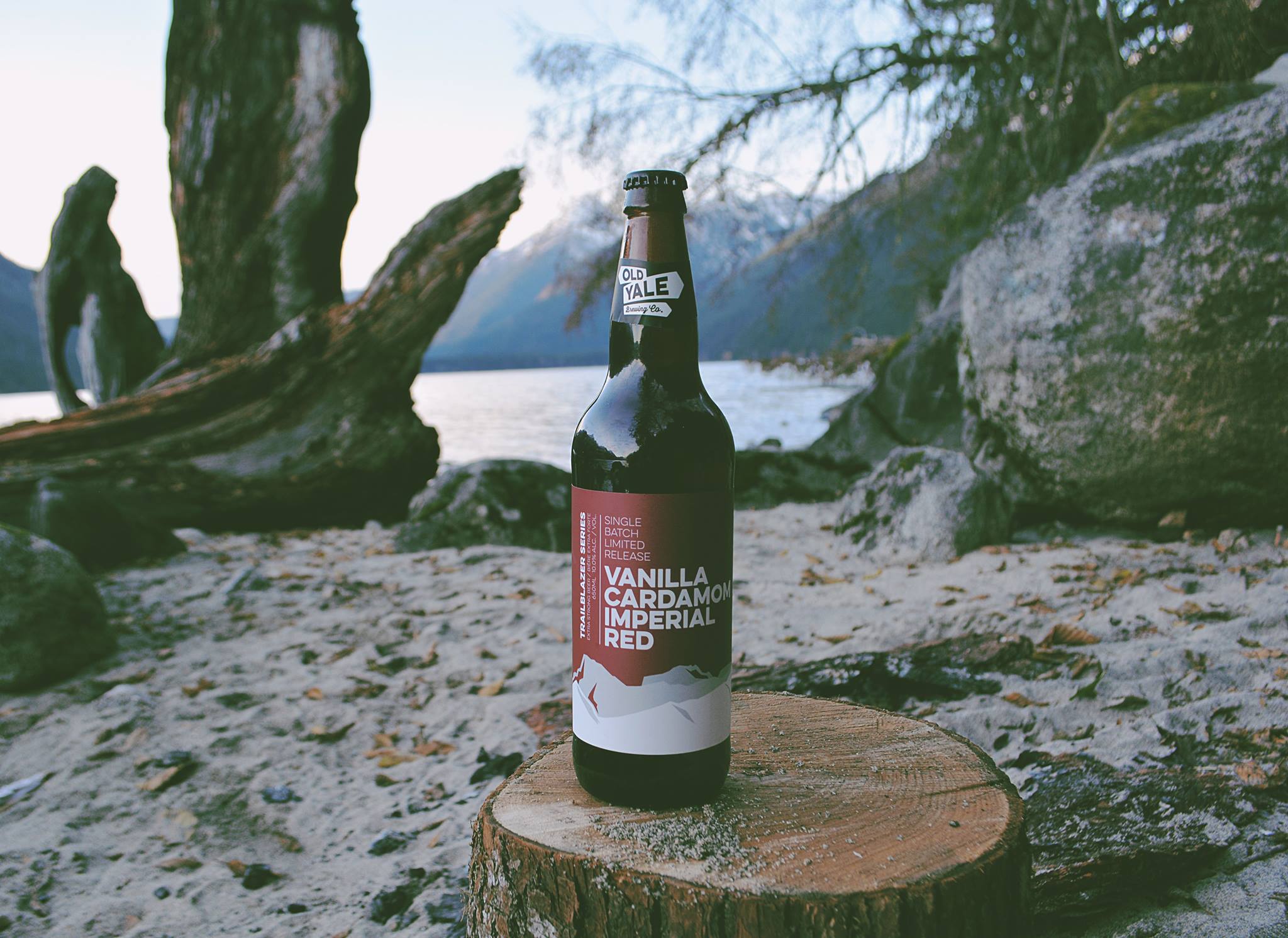 image sourced from Old Yale Brewing Company