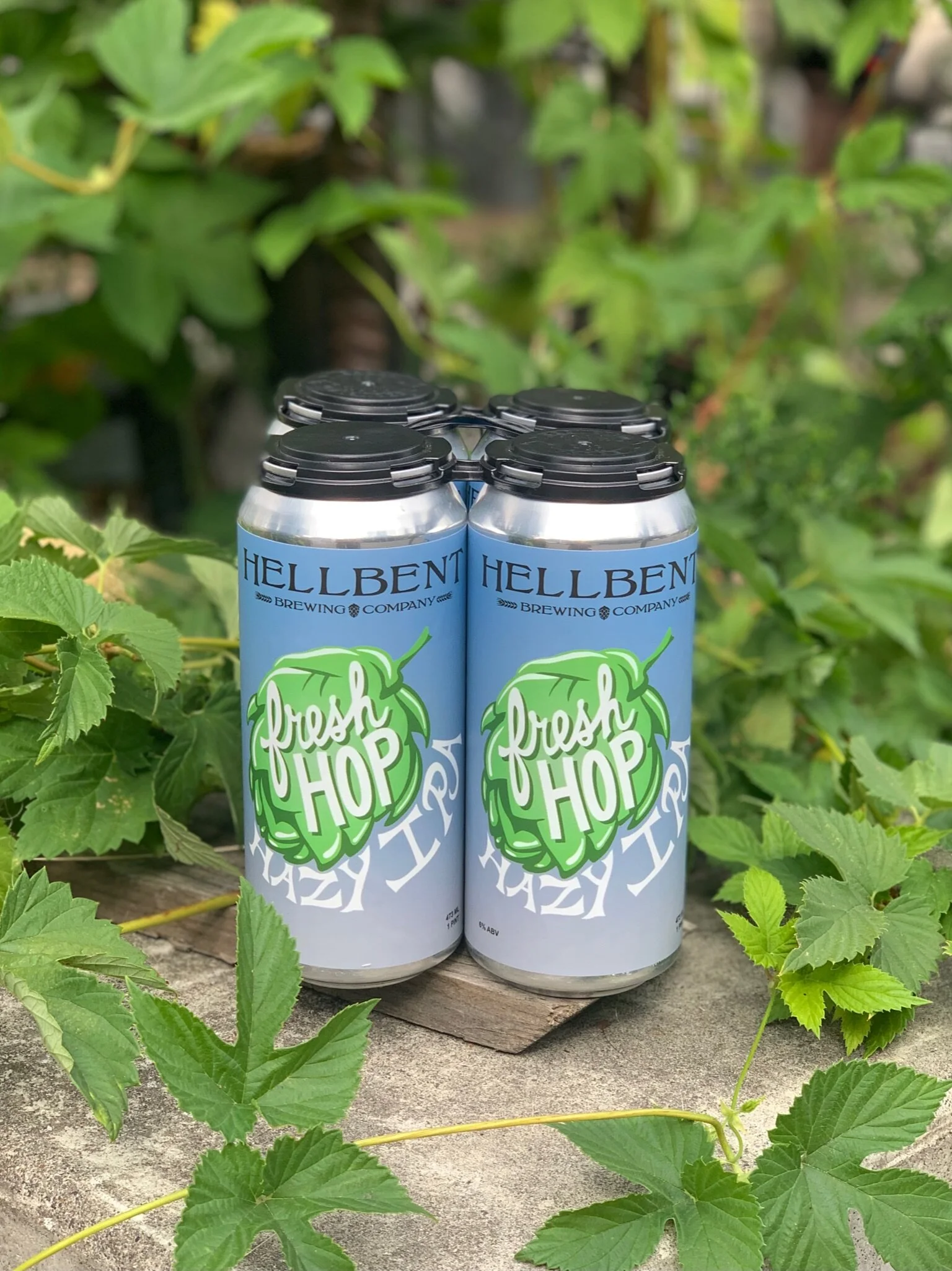 Hellbent Fresh Hop Hazy IPA — The Northwest Beer Guide