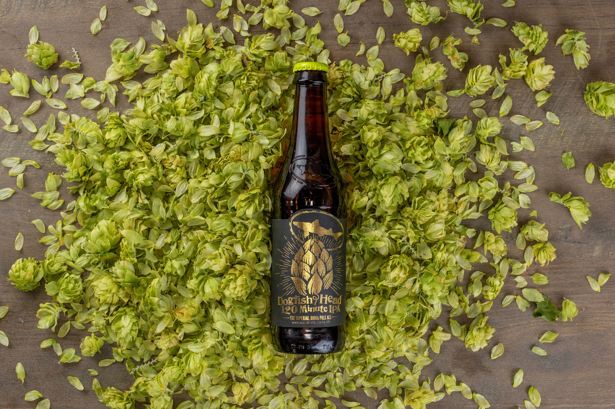 Smothered In Hugs - Dogfish Head Craft Brewery - Untappd