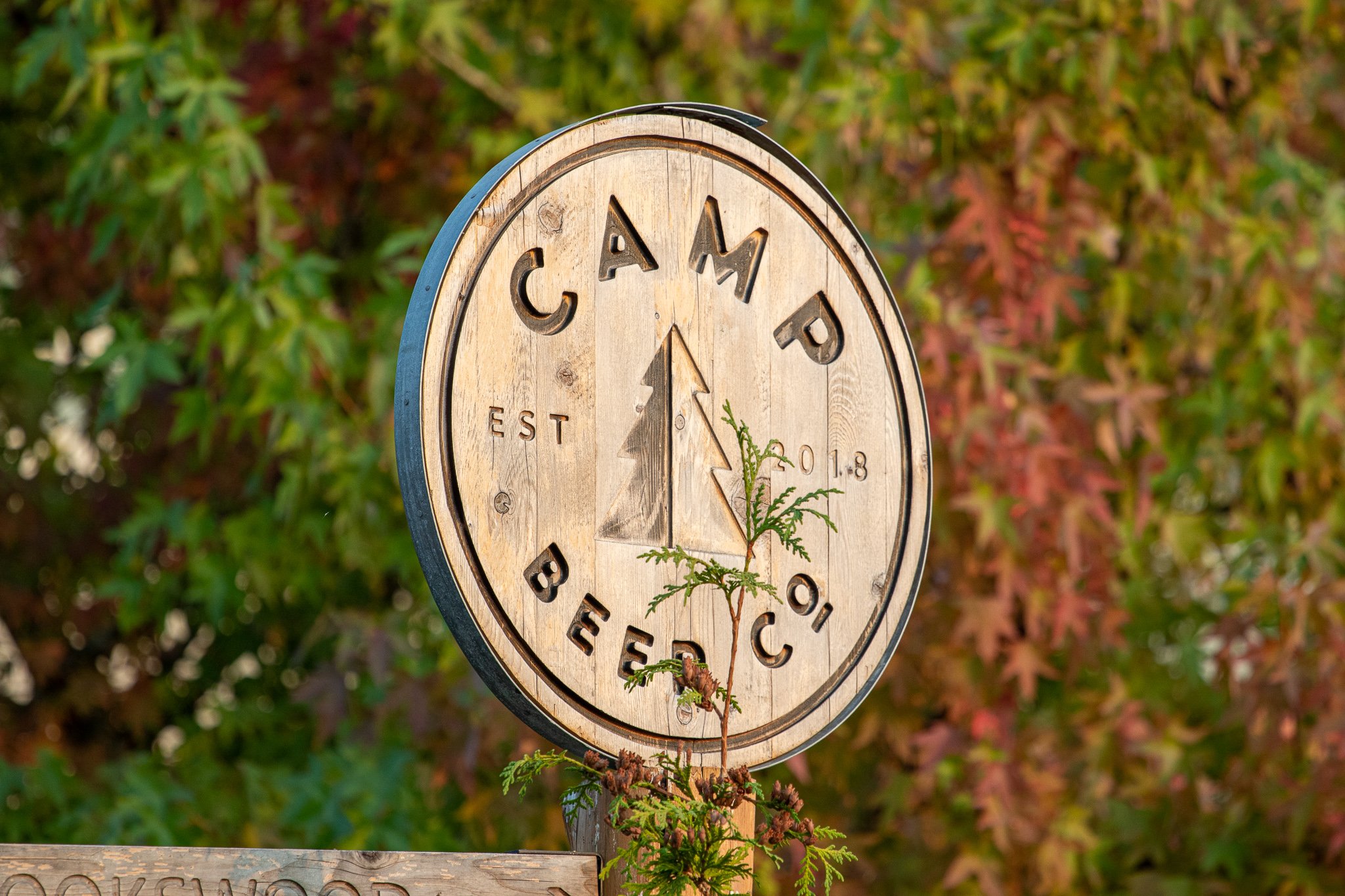 CAMP_WoodSign- Matt Carter for BC Ale Trail.jpeg