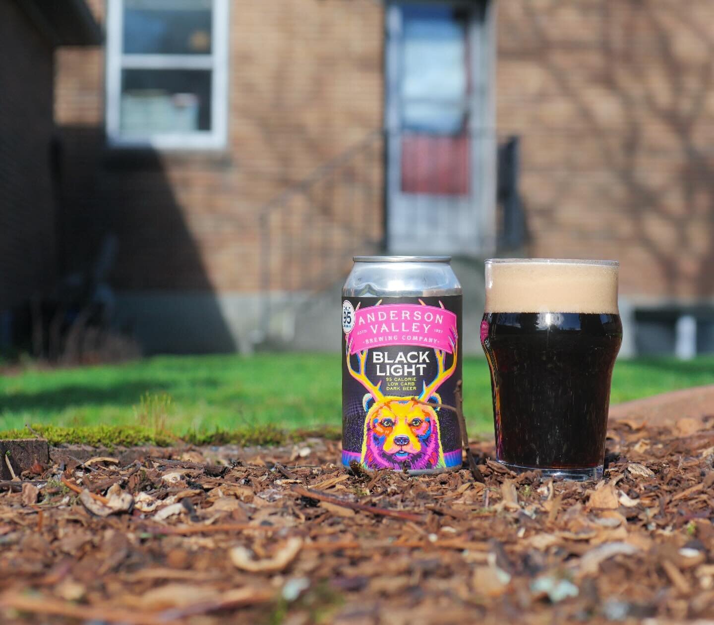 Having emerged from the cocoon that is #DryJanuary, we set our eyes on a recent delivery from @andersonvalleybrewing. Dubbed Black Light, this &ldquo;95 Calorie Dark Beer&rdquo; is akin to a dark ale. With an iconic can begging to be paired with a bl