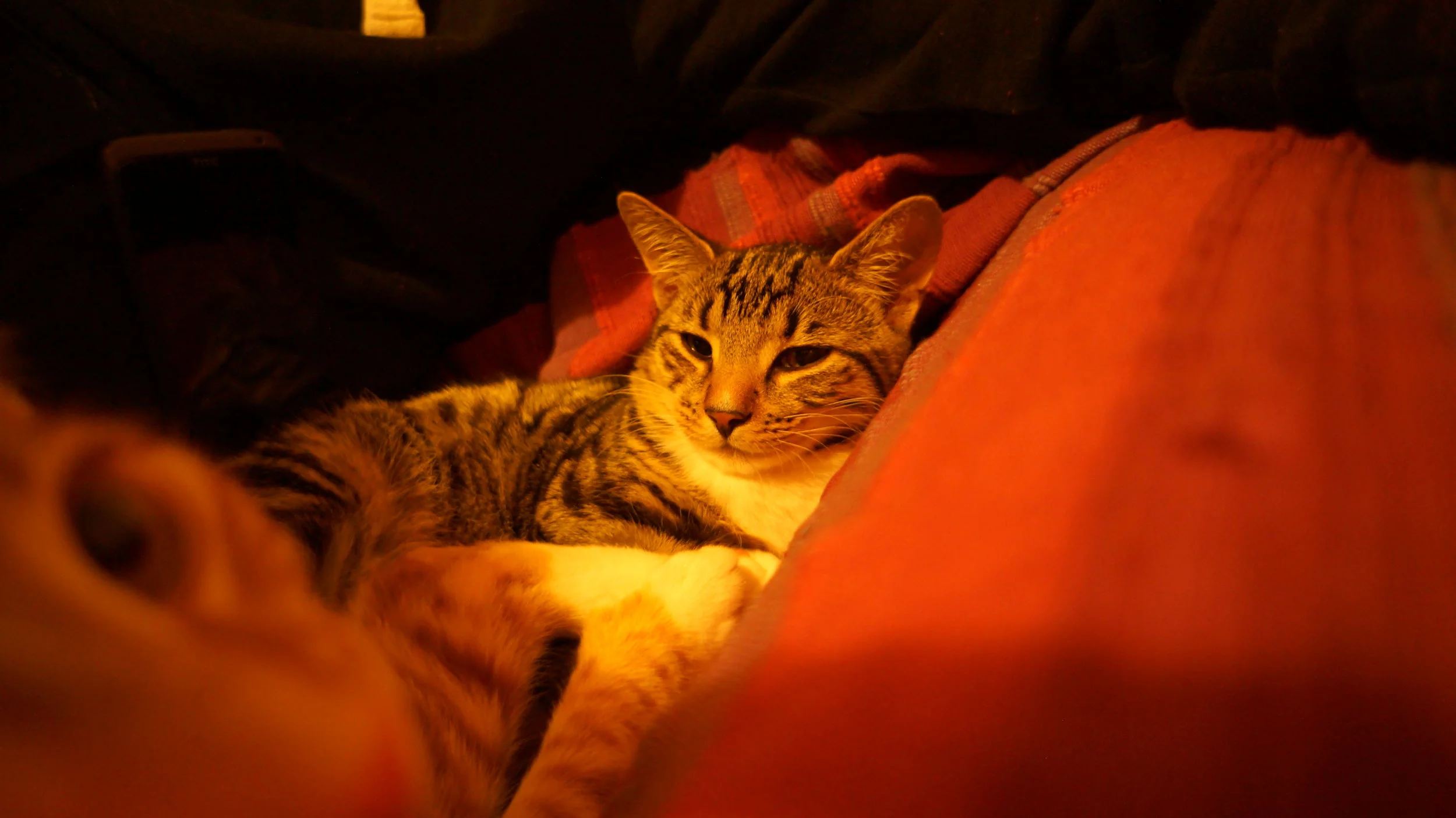DSC00393.JPG