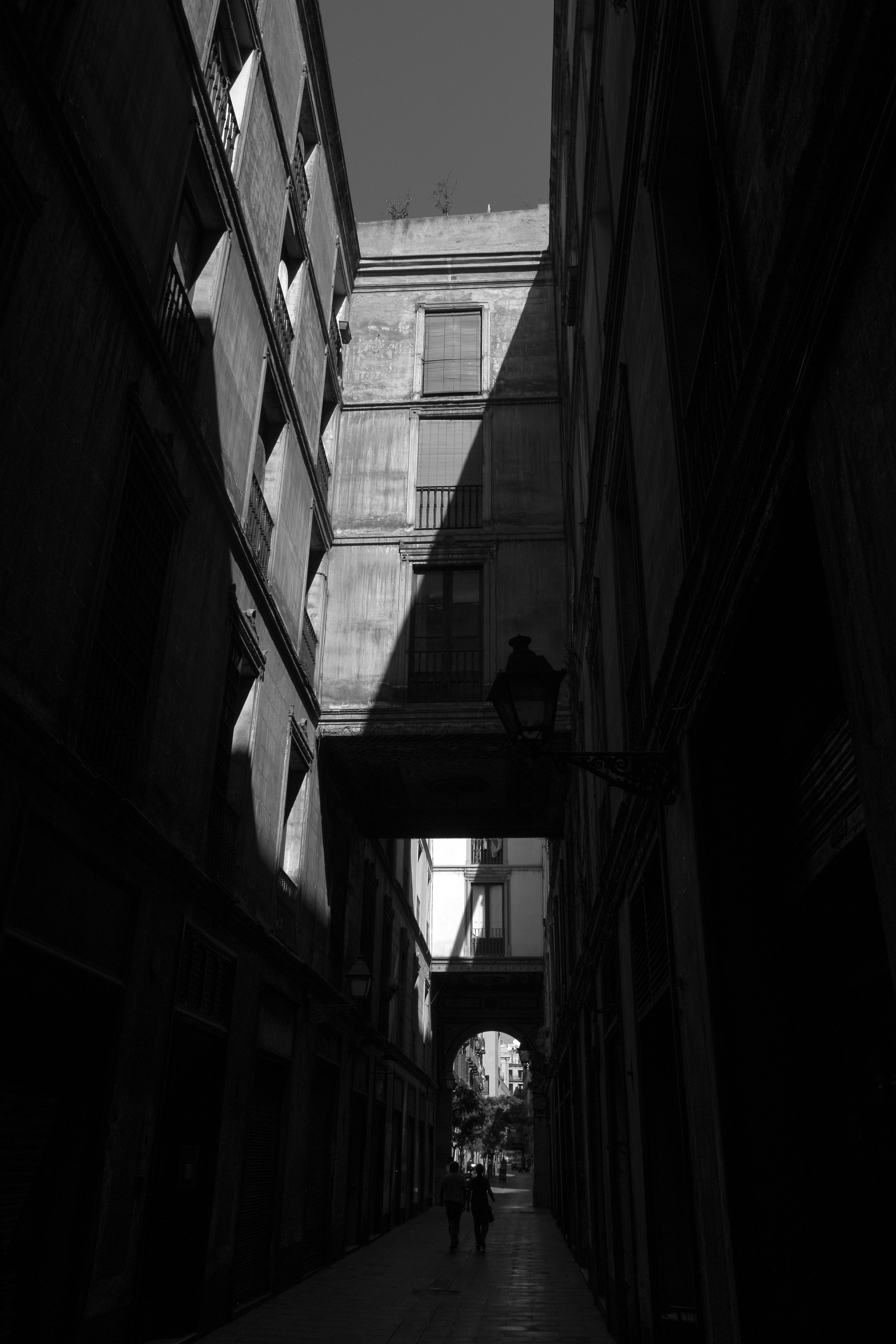 016_XP2B1902.jpg