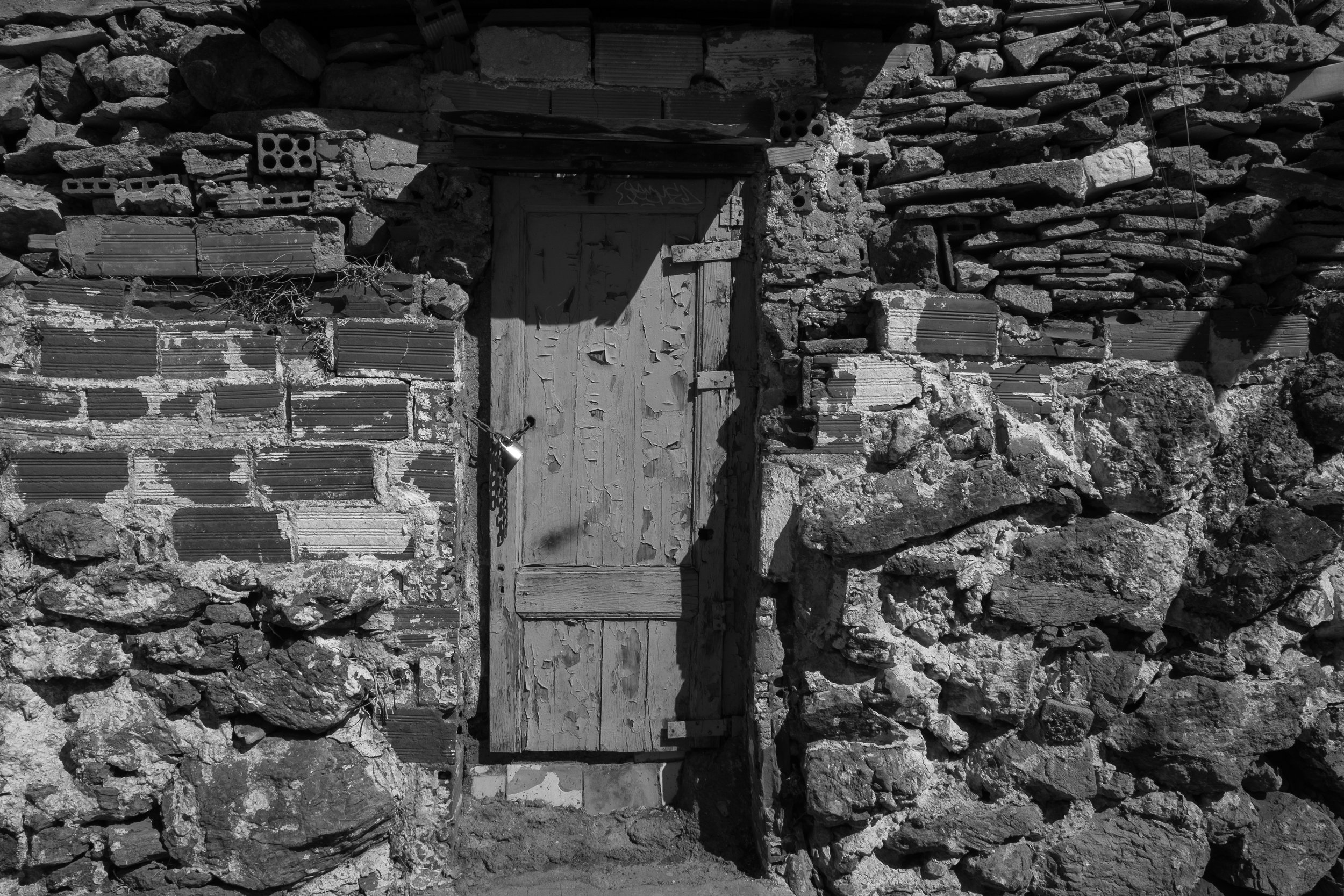 021_XP2B1954.jpg
