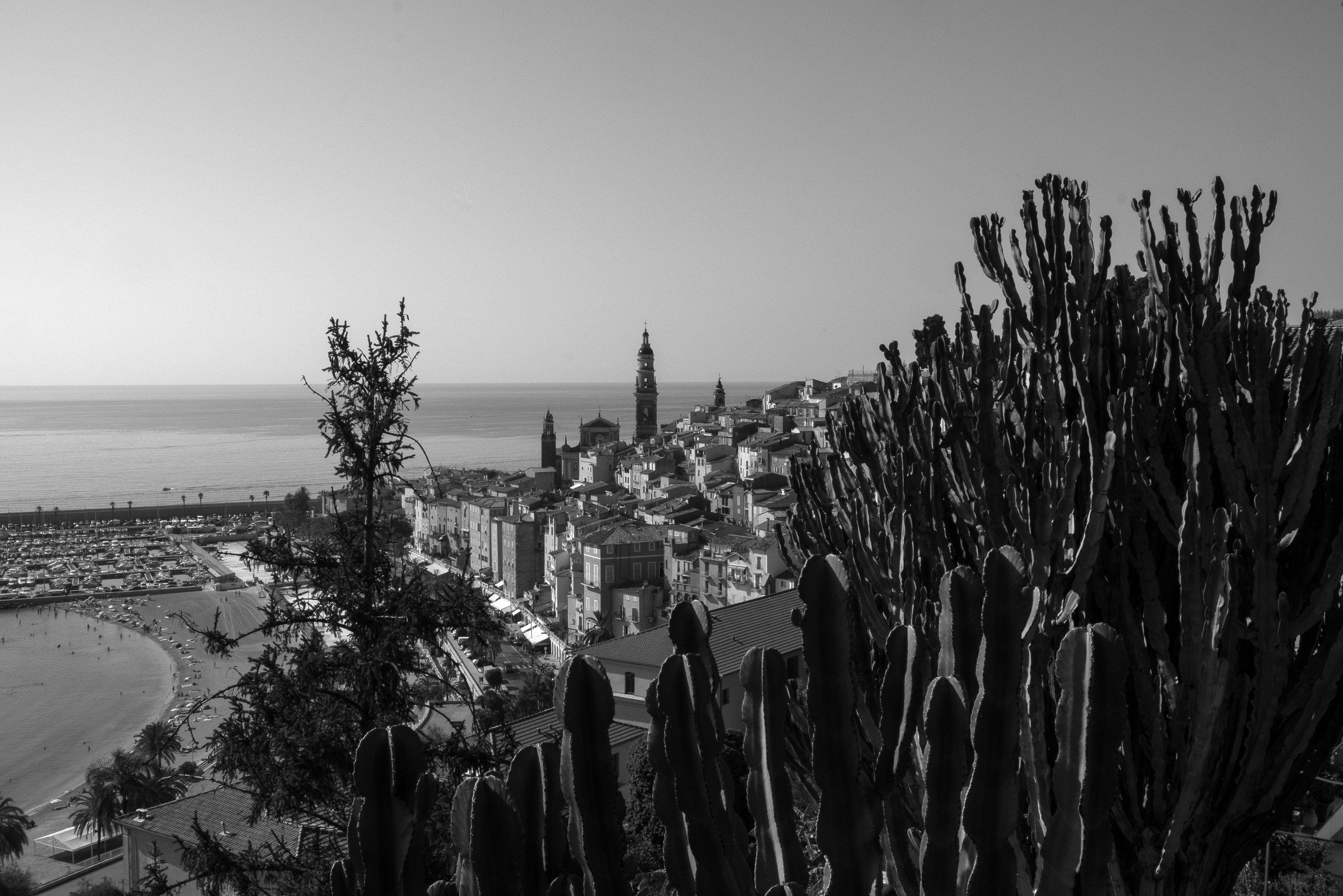 044_XP2B2856.jpg