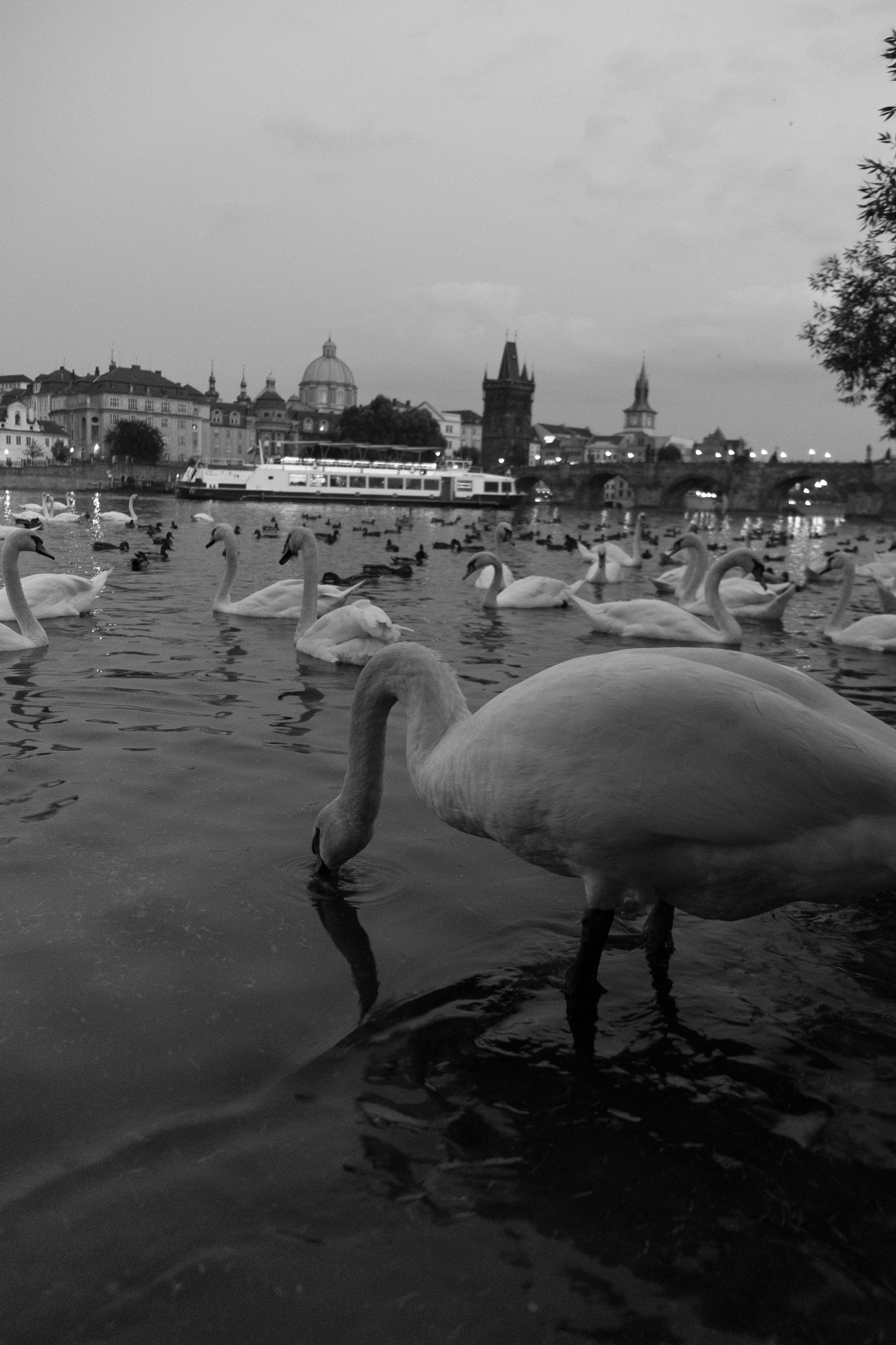 053_XP2B2939.jpg