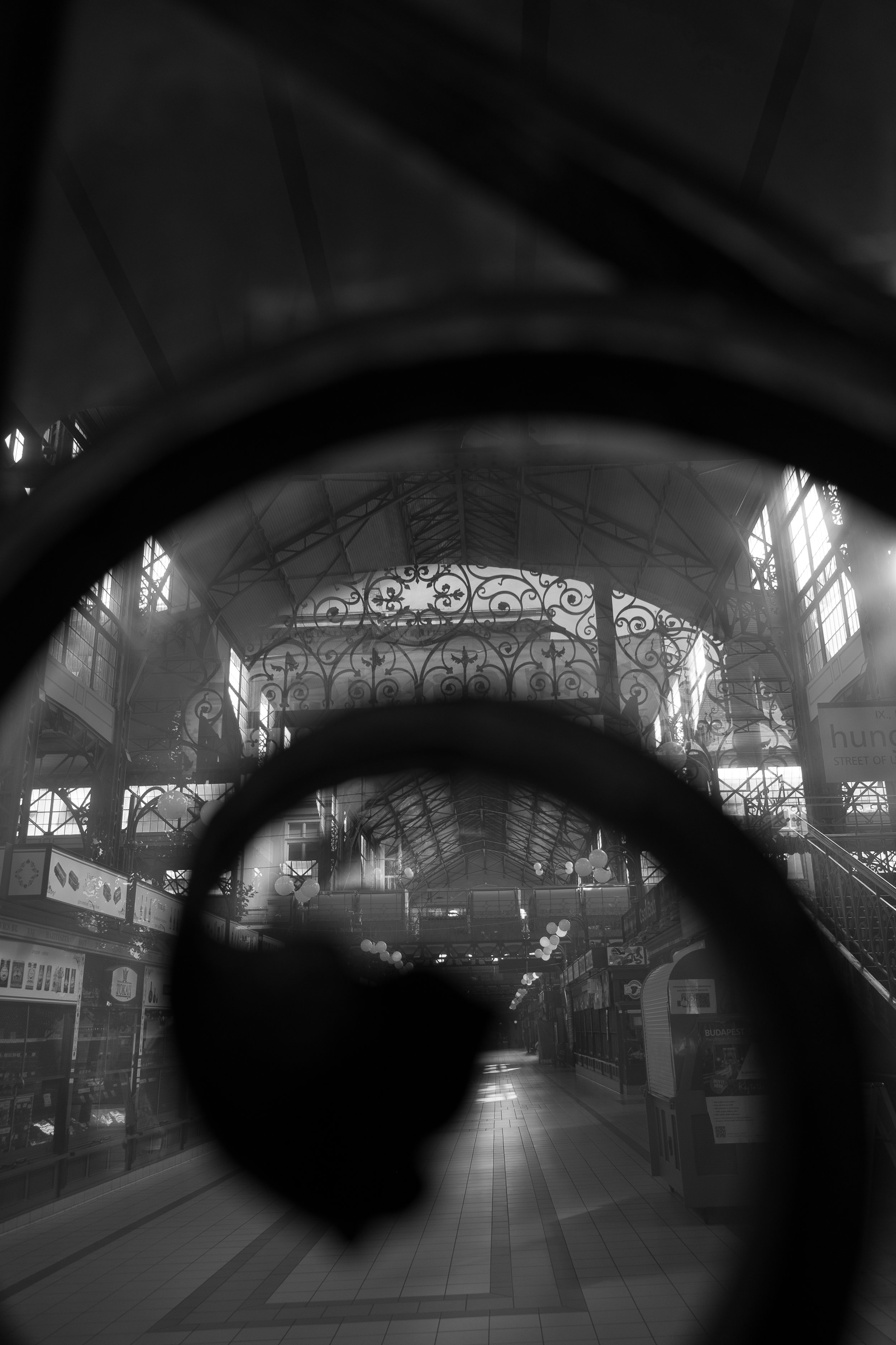 104_XP2B4072.jpg
