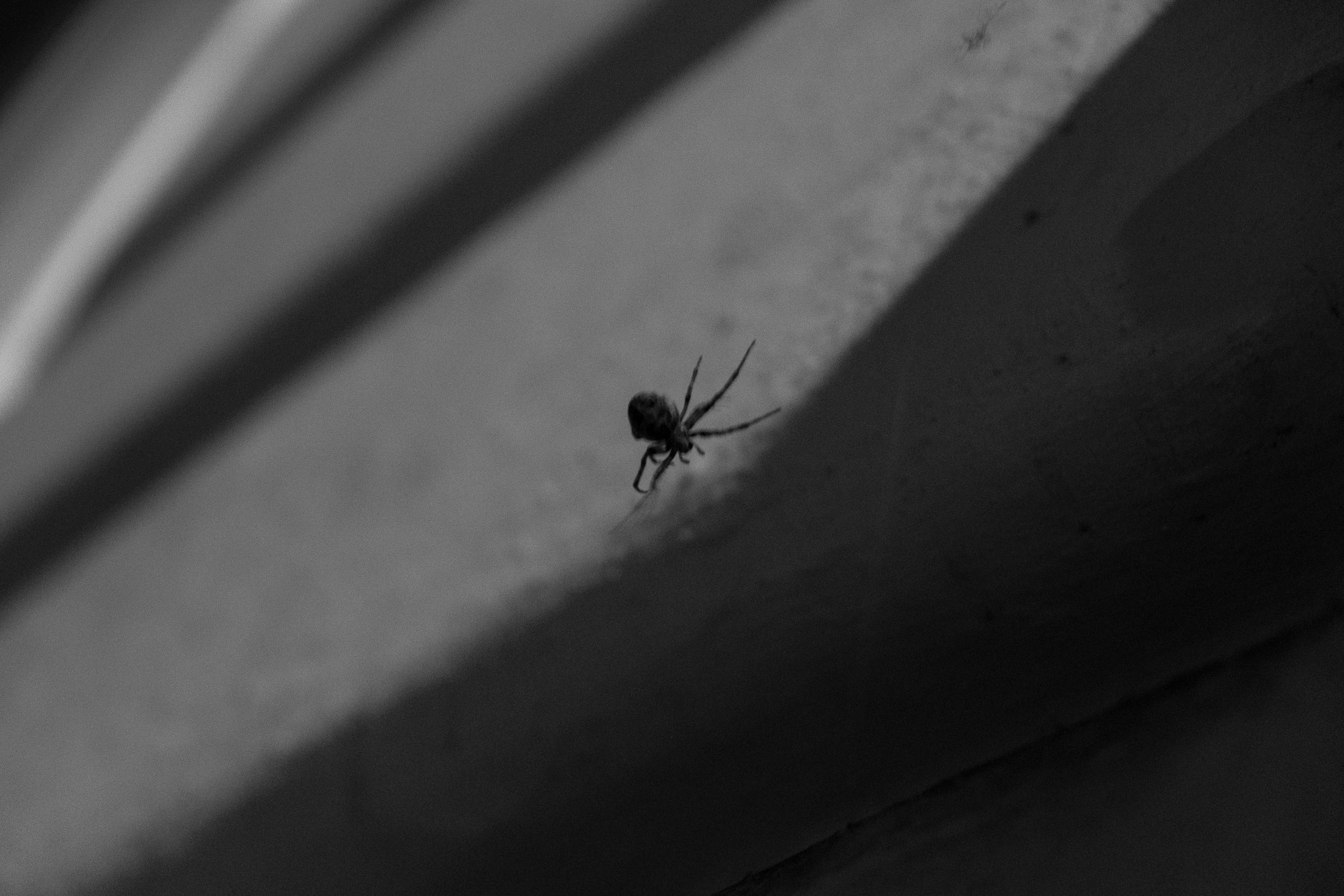 064_XP2B3363.jpg