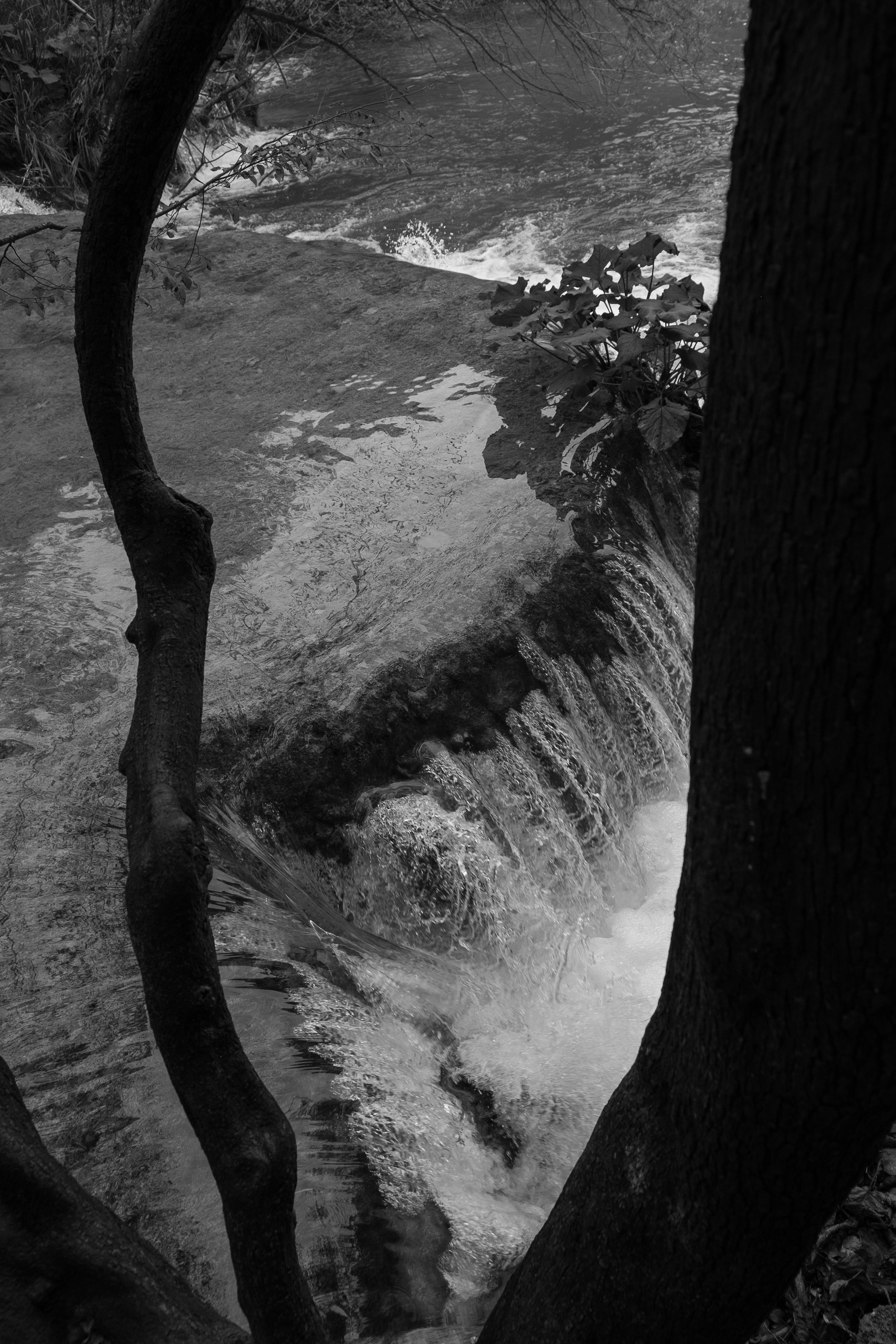 122_DSCF0607.jpg