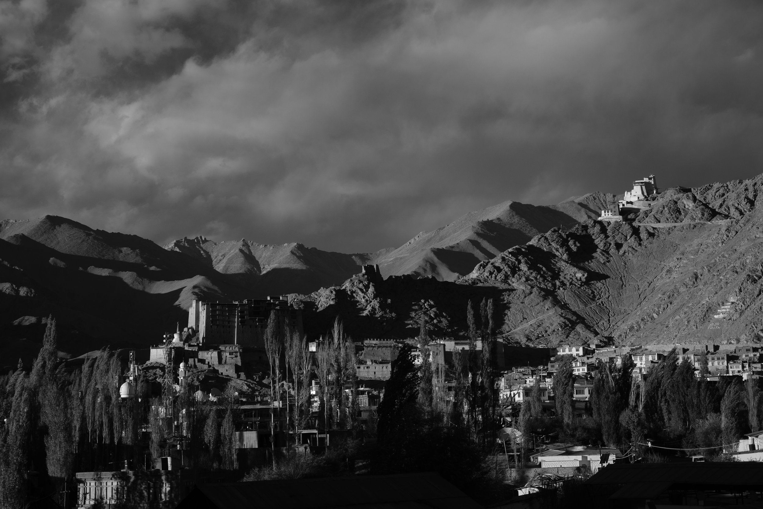 131_XP2B4965.jpg