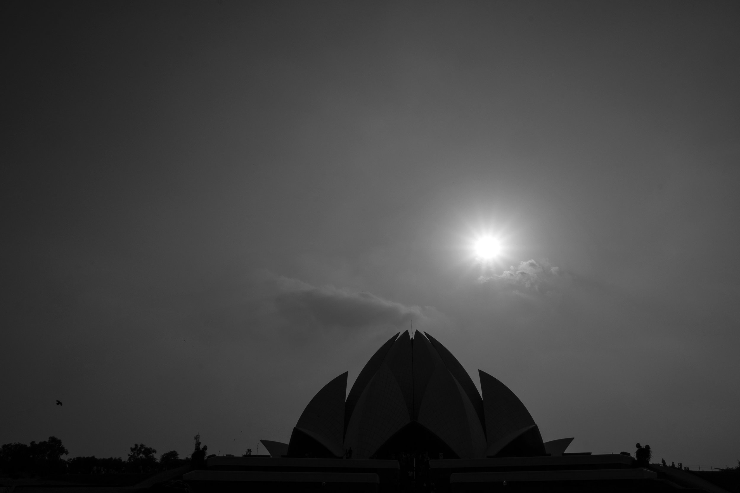 154_XP2B4749.jpg