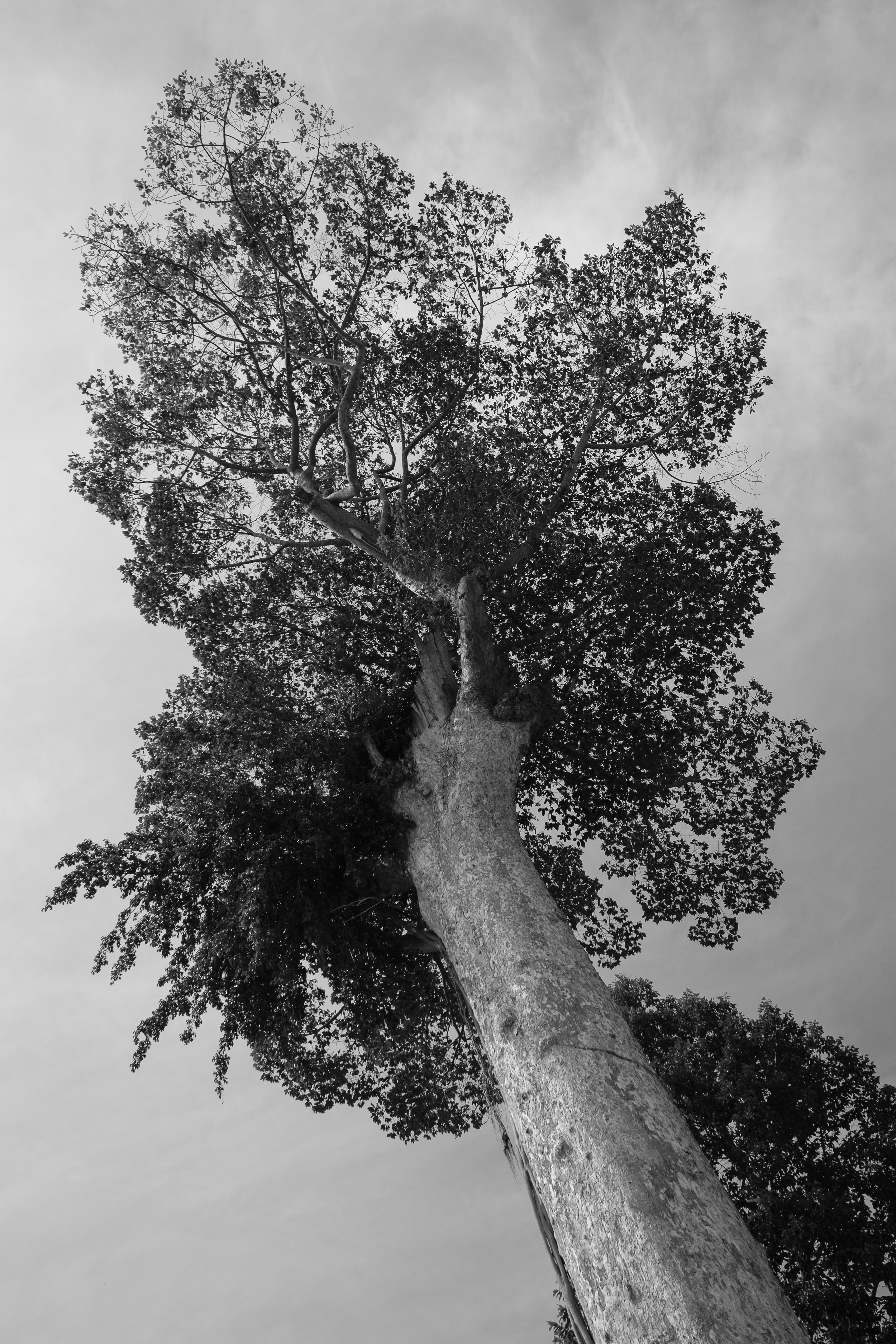 170_XP2B6632.jpg