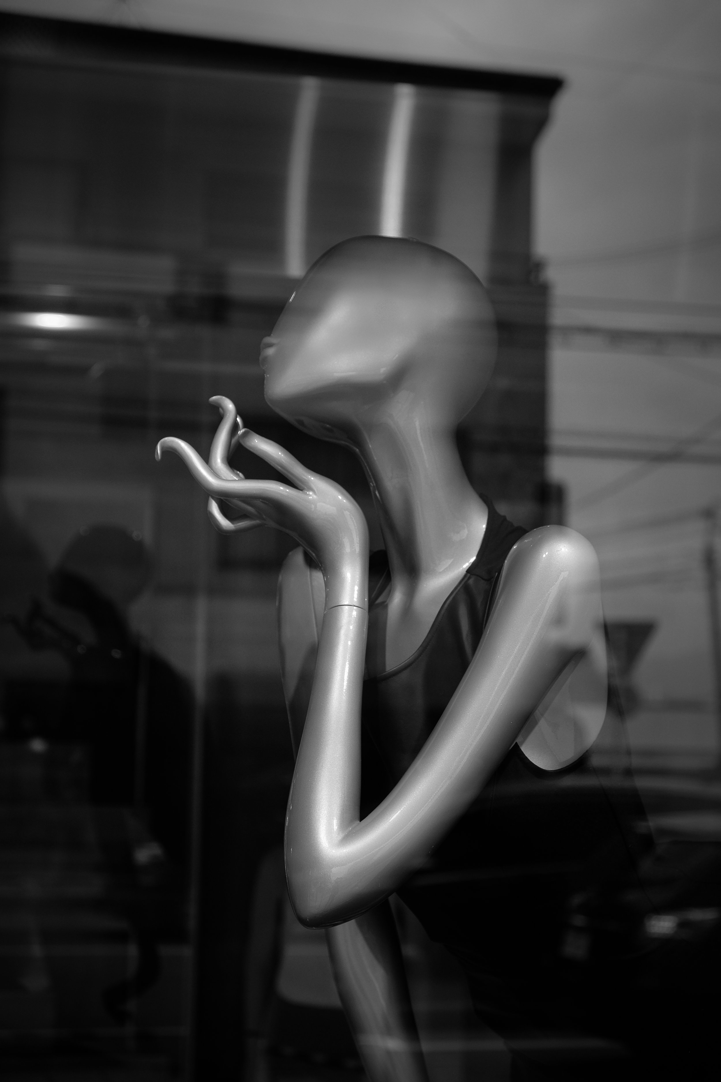 213_XP2B9213.jpg