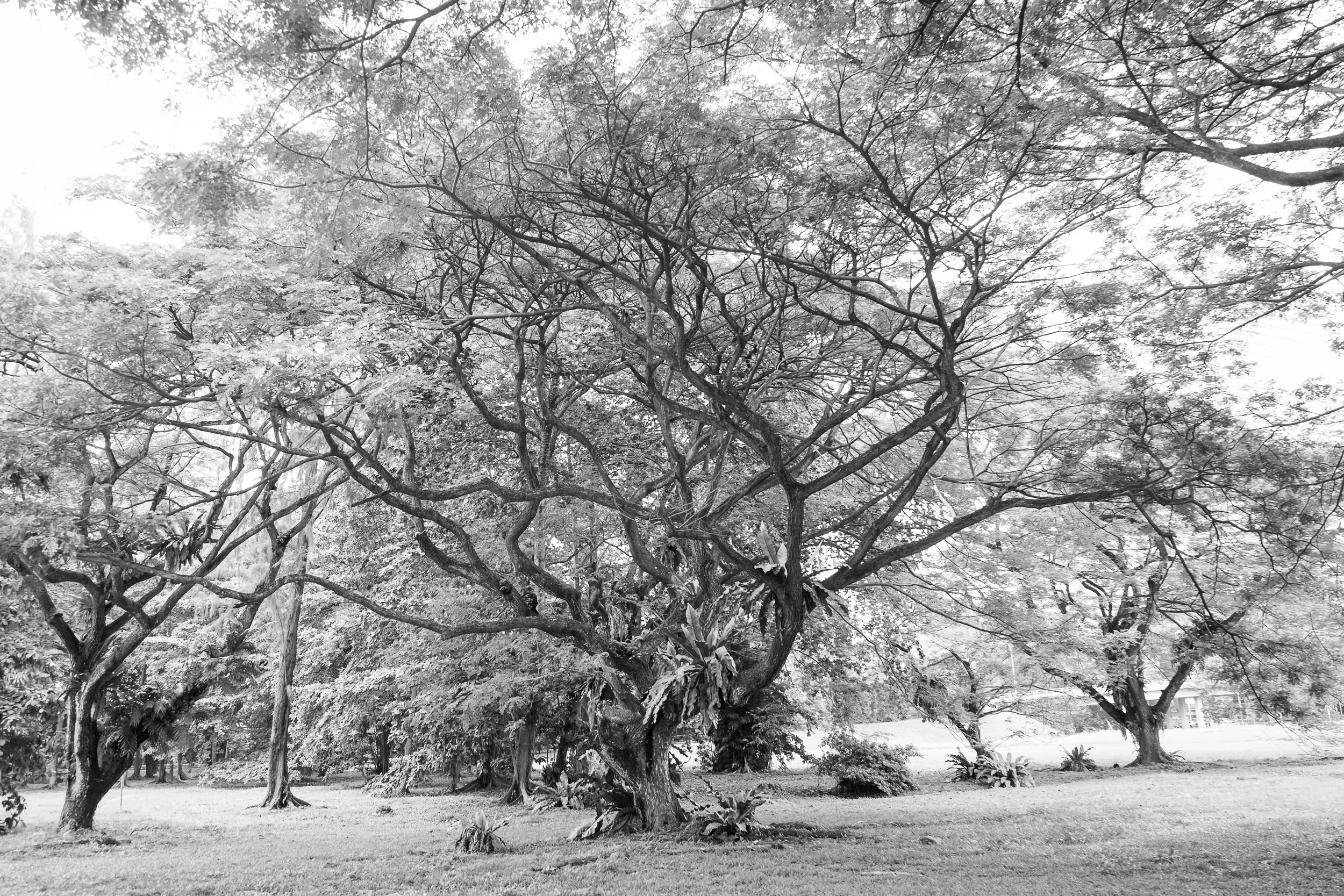 315_DSCF1533.jpg