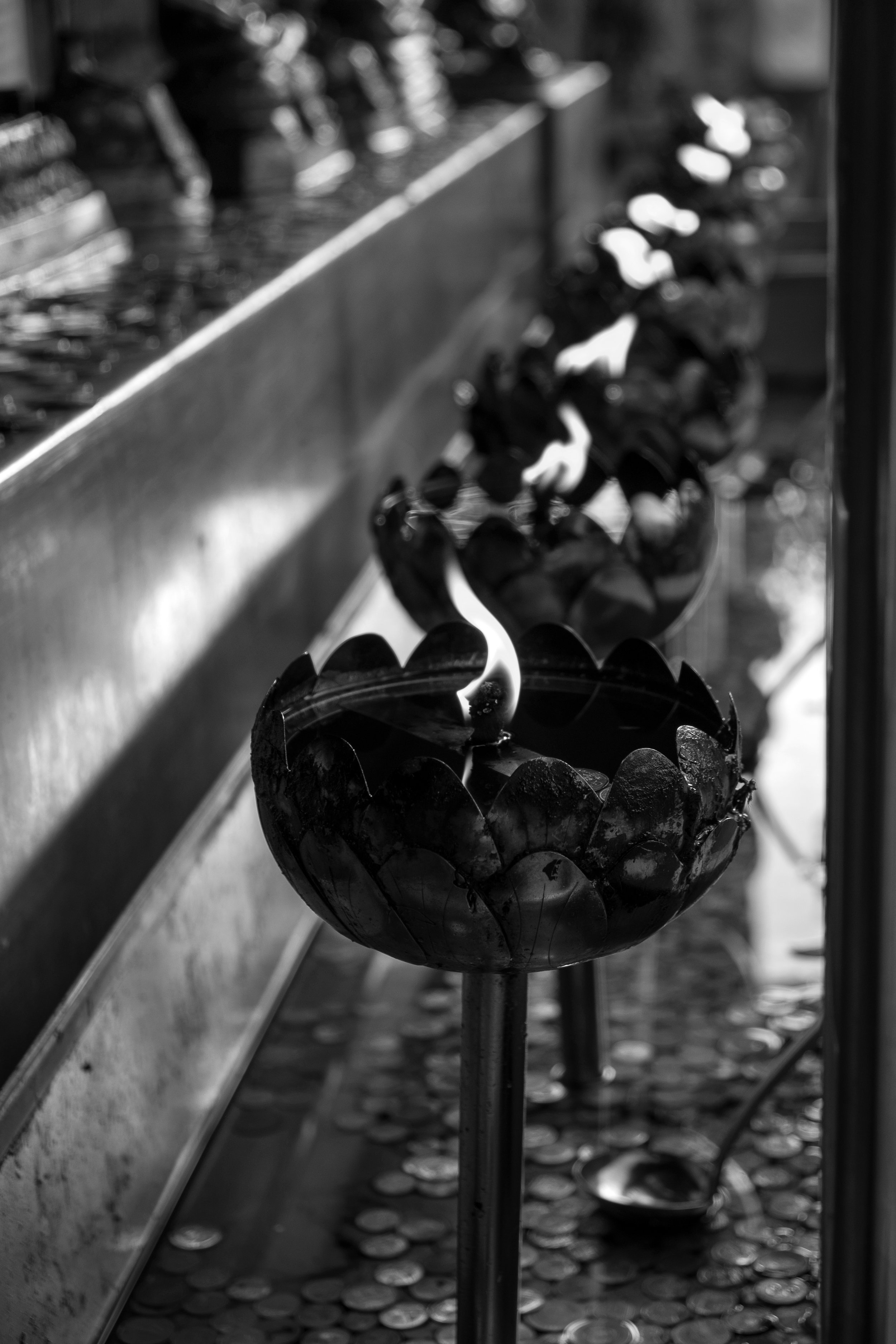 229_XP2B6580.jpg