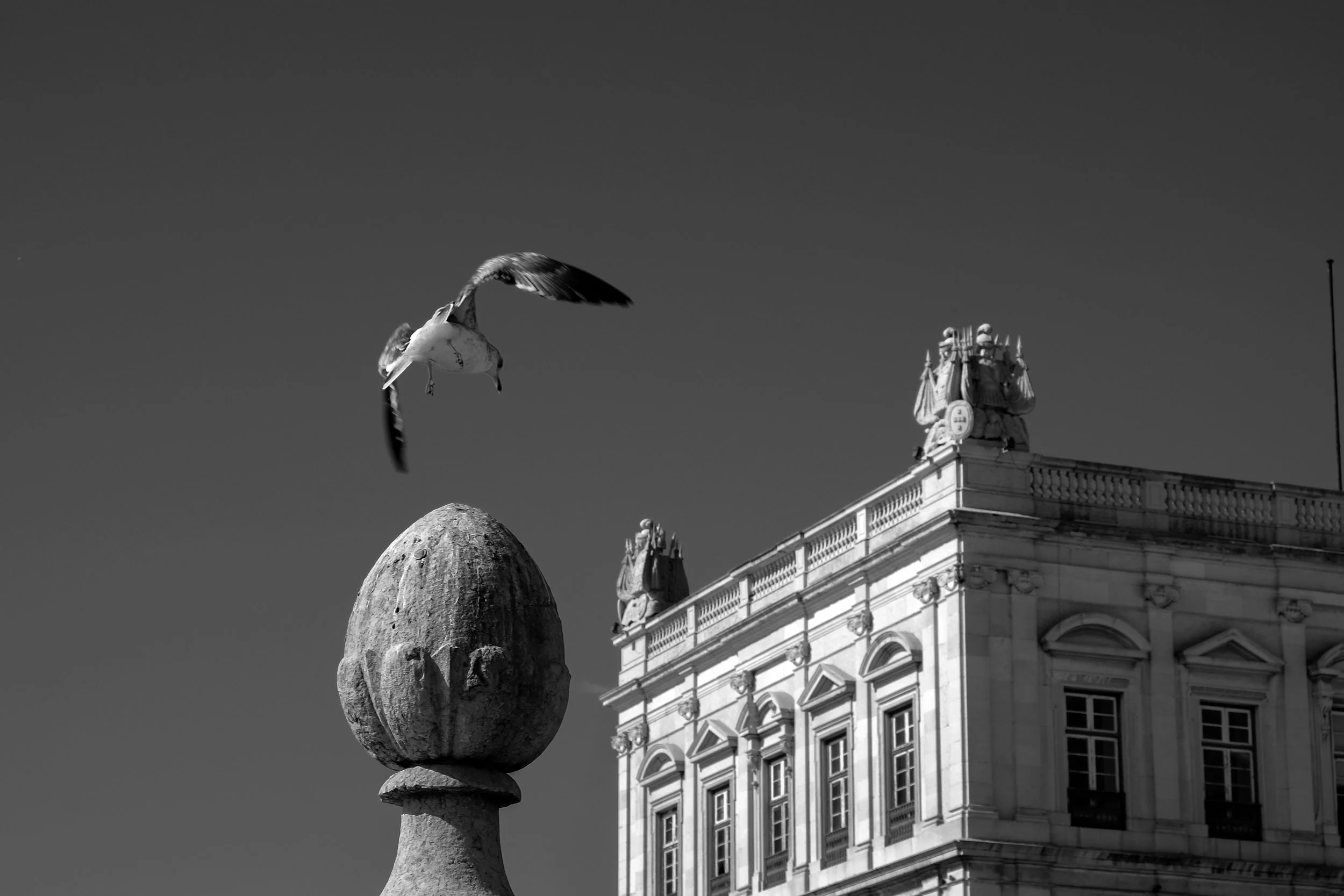 DSCF7631.JPG