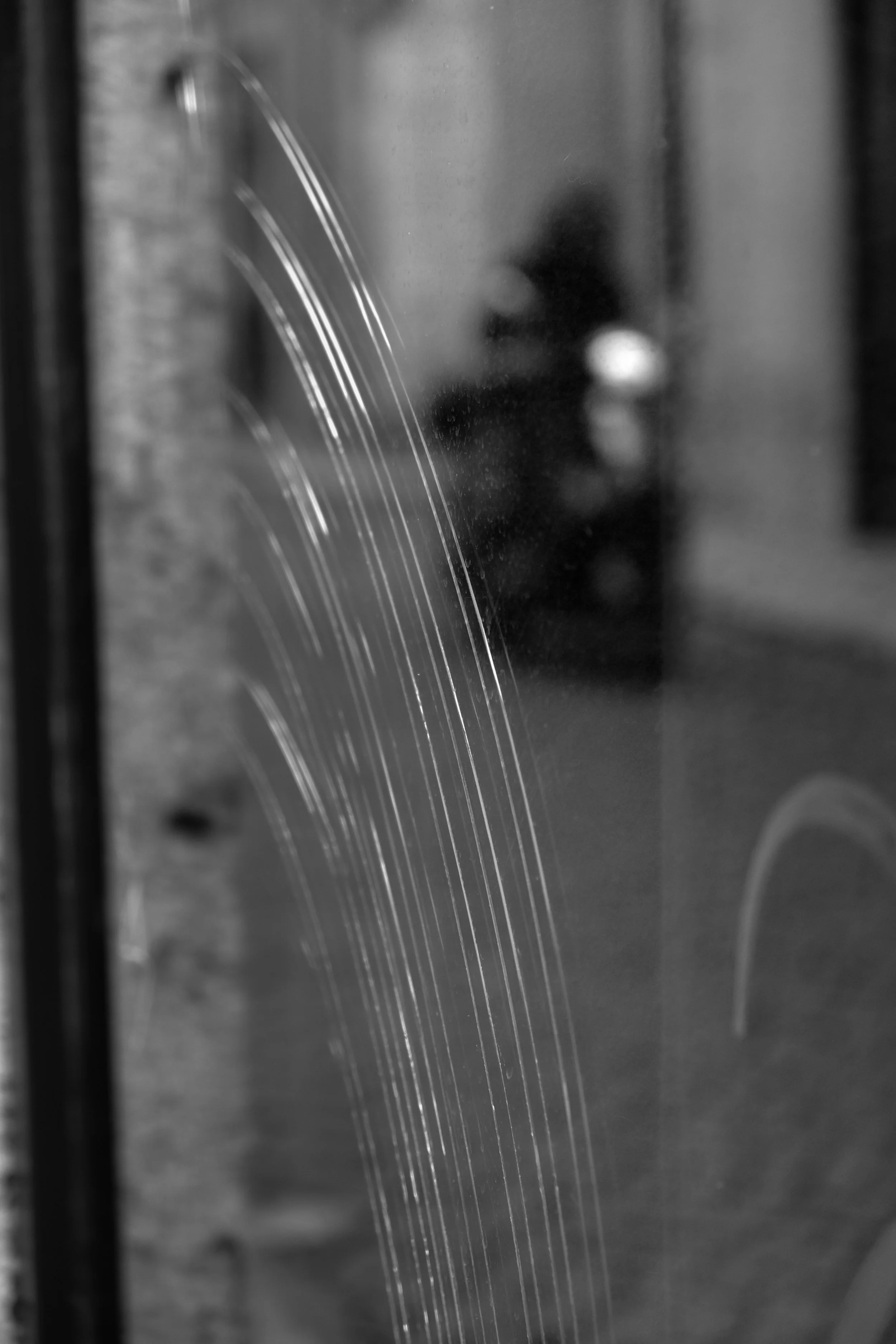 DSCF7708.JPG